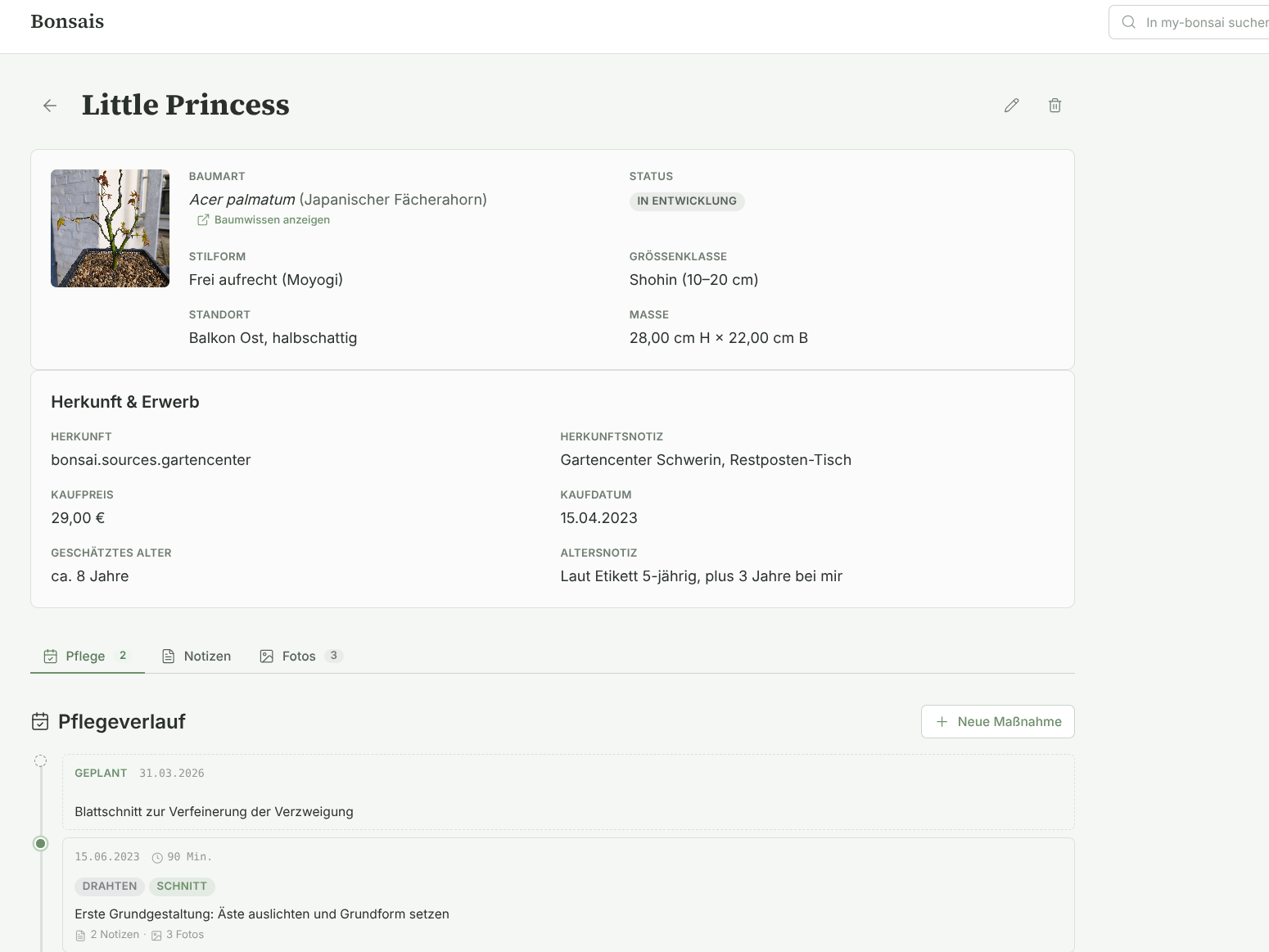 Screenshot: Bonsai-Sammlung