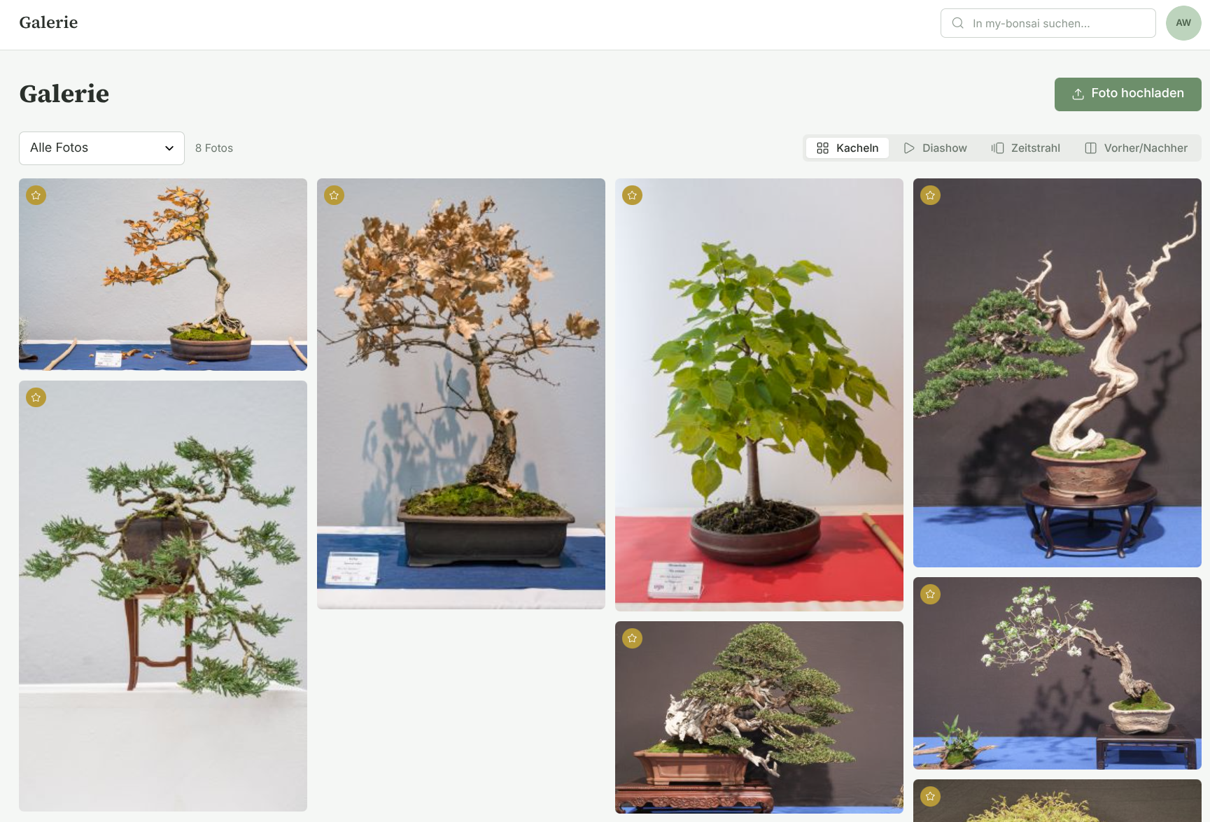 Screenshot: Foto-Galerie